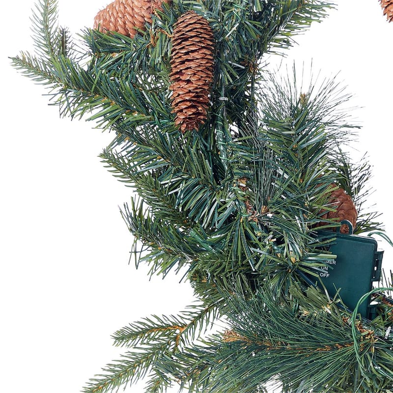 Julekrans Kamerun - Have - Havearbejde & dyrkning - Planter - Pynteplanter - Dørkranse