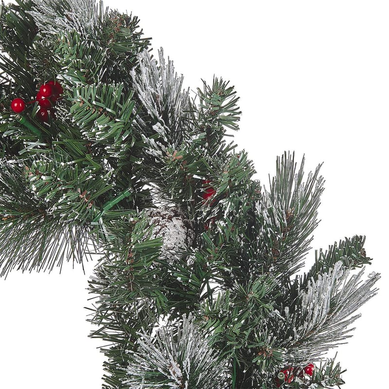 Julekrans Wapta - Have - Havearbejde & dyrkning - Planter - Pynteplanter - Dørkranse