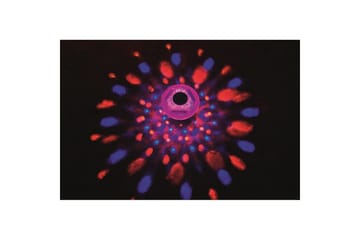 Øvrigt friluftsliv Planet Pool Poollampe Planet Pool Flowclear LED flydende - Have - Udendørs miljø - Altan & terrasse - Altanbelysning