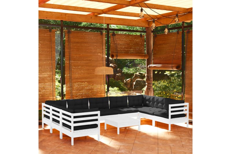 loungesæt til haven 10 dele med hynder fyrretræ hvid - Hvid - Altanmøbler - Sofagrupper udendørs - Loungesæt