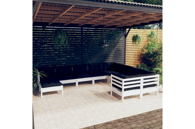 loungesæt til haven 10 dele med hynder fyrretræ hvid - Hvid - Have - Udendørs miljø - Altan & terrasse - Altanmøbler