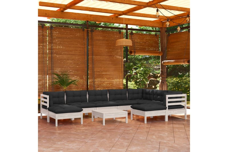 loungesæt til haven 10 dele med hynder massivt fyrretræ hvid - Hvid - Altanmøbler - Sofagrupper udendørs - Loungesæt