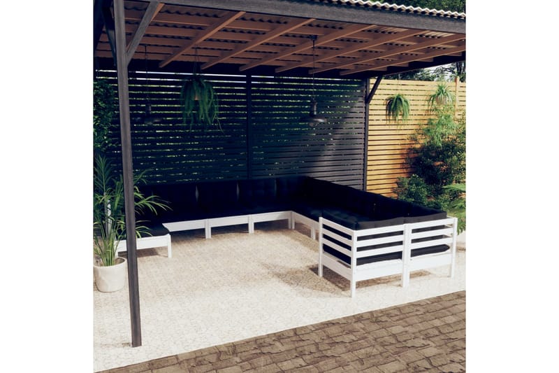 loungesæt til haven 11 dele med hynder fyrretræ hvid - Hvid - Altanmøbler - Sofagrupper udendørs - Loungesæt