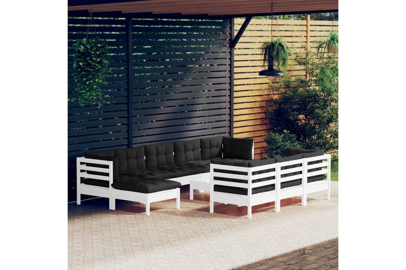 loungesæt til haven 11 dele med hynder massivt fyrretræ hvid - Hvid - Have - Udendørs miljø - Altan & terrasse - Altanmøbler