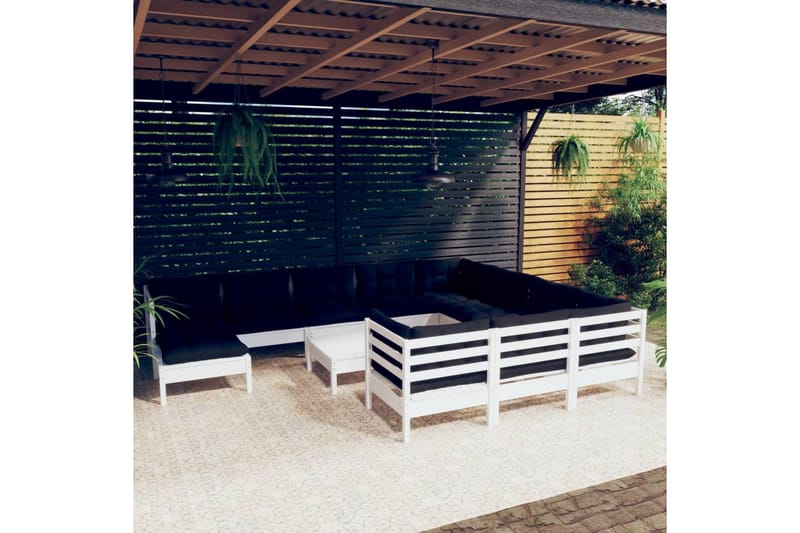 loungesæt til haven 12 dele med hynder fyrretræ hvid - Hvid - Have - Udendørs miljø - Altan & terrasse - Altanmøbler
