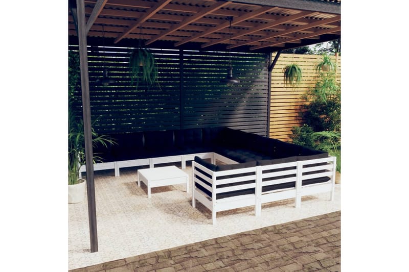 loungesæt til haven 12 dele med hynder fyrretræ hvid - Hvid - Altanmøbler - Sofagrupper udendørs - Loungesæt