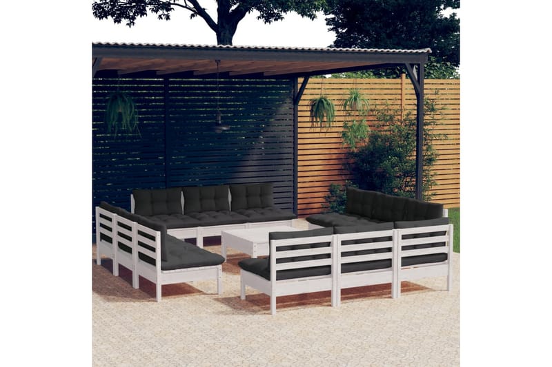 loungesæt til haven 13 dele med antracitgrå hynder fyrretræ - Hvid - Altanmøbler - Sofagrupper udendørs - Loungesæt