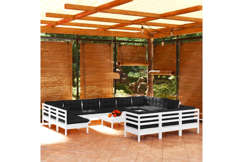 loungesæt til haven 14 dele med hynder fyrretræ hvid - Hvid - Altanmøbler - Sofagrupper udendørs - Loungesæt