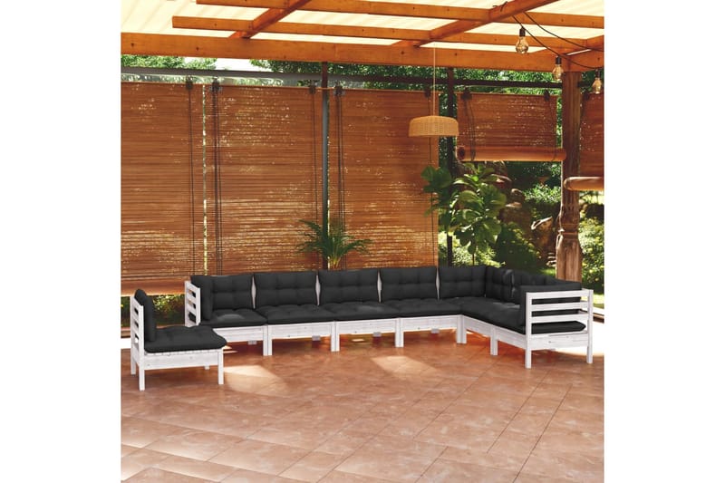 loungesæt til haven 8 dele med hynder massivt fyrretræ hvid - Hvid - Altanmøbler - Sofagrupper udendørs - Loungesæt