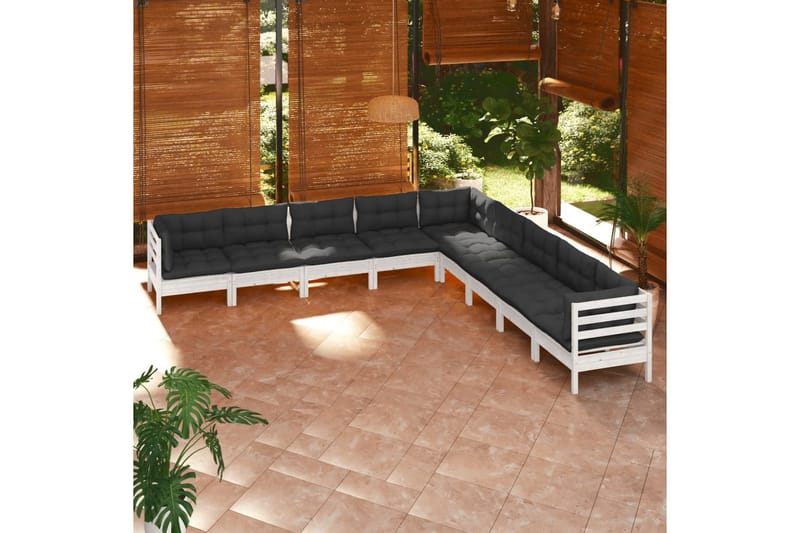 loungesæt til haven 9 dele med hynder massivt fyrretræ hvid - Hvid - Altanmøbler - Sofagrupper udendørs - Loungesæt
