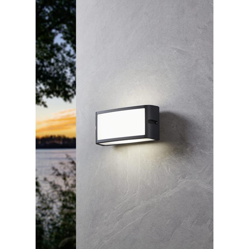 Udvendig væglampe Camarda - Antracit - Have - Udendørs miljø - Entré - Entrébelysning