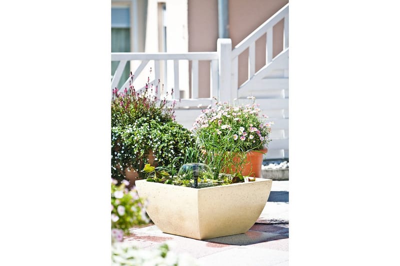 Springvandspumpe Heissner Smartline Indendørs - Indendørs - Have - Udendørs miljø - Havedekoration - Damme & springvand