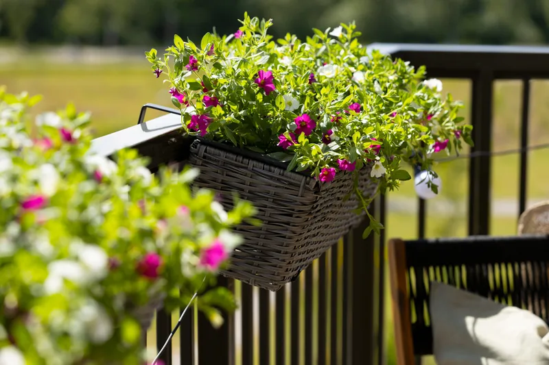 altankasse Wicker Grå - Havemøbler - Balkon - Balkon dyrkning - Altankasse