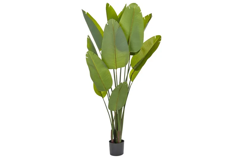 Konstgjord växt Beliani Banana Tree Grön/Svart, 115x115x187 cm Green||Black, undefined