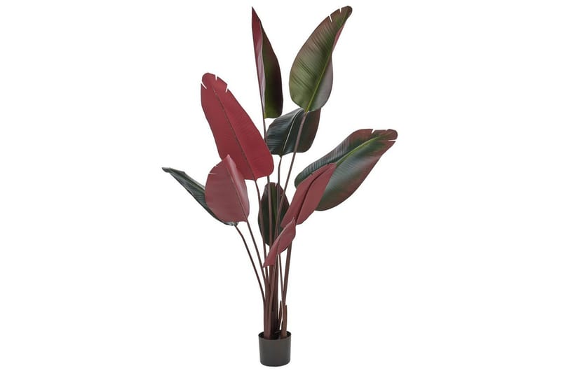 Konstgjord växt Beliani Banana Tree Grön/svart/röd, 95x95x170 cm Green||Black||Red