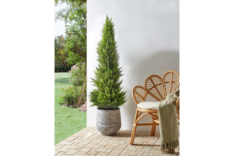 Konstgjord växt Beliani Cedar Tree 50x50x153 cm Green||Dark colored wood - Boligtilbehør - Kunstige planter