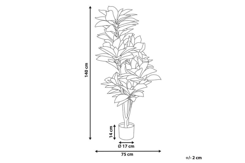 Konstgjord växt Beliani Codiaeum Green||Black||Brown - Boligtilbehør - Kunstige planter
