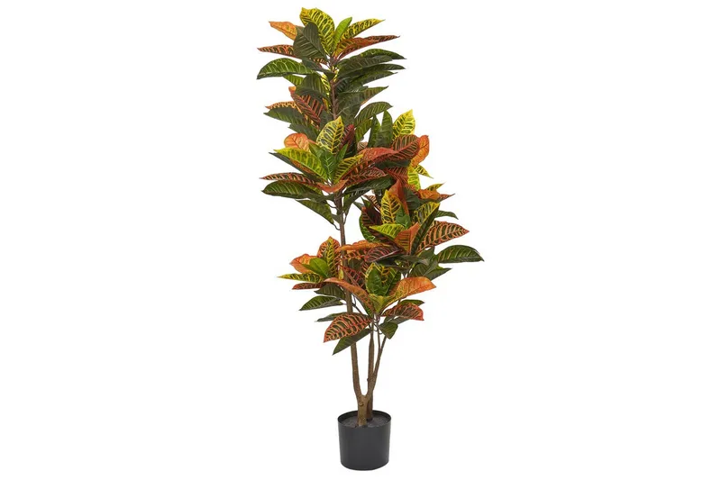 Konstgjord växt Beliani Codiaeum Green||Black||Brown