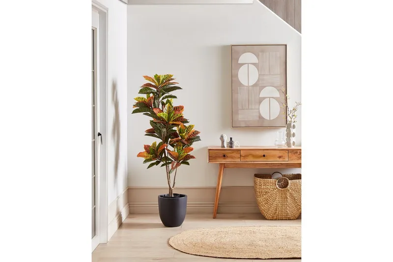 Konstgjord växt Beliani Codiaeum Green||Black||Brown - Boligtilbehør - Kunstige planter