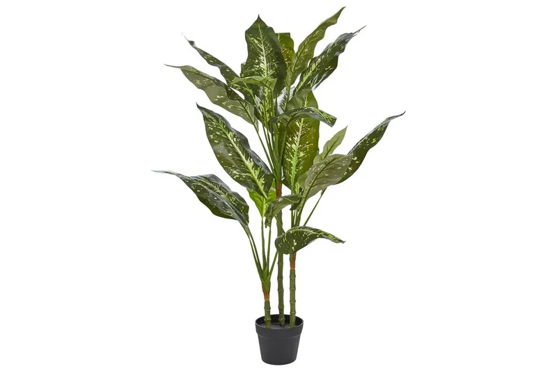 Konstgjord växt Beliani Dieffenbachia 55x55x110 cm Green||Black, undefined