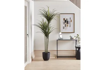 Konstgjord växt Beliani Dracaena Anita Green||Black - Boligtilbehør - Kunstige planter
