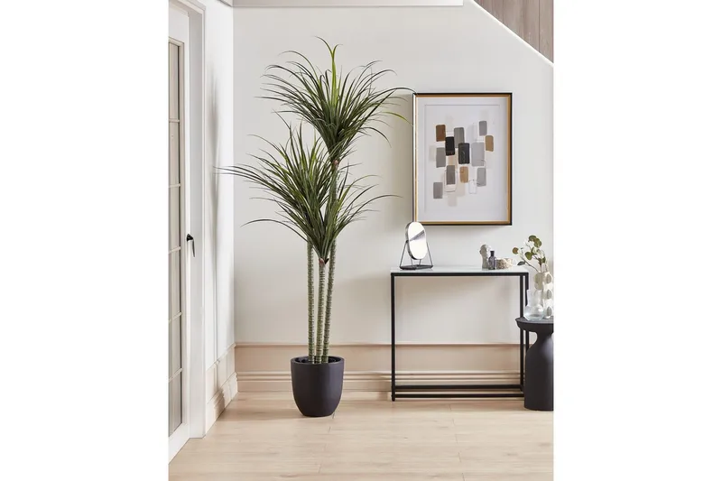 Konstgjord växt Beliani Dracaena Anita Green||Black - Boligtilbehør - Kunstige planter
