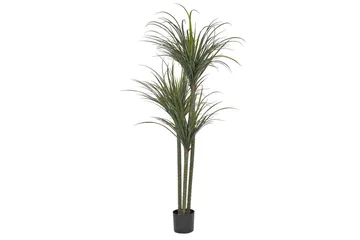 Konstgjord växt Beliani Dracaena Anita Green||Black - Boligtilbehør - Kunstige planter