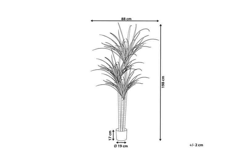 Konstgjord växt Beliani Dracaena Anita Green||Black - Boligtilbehør - Kunstige planter