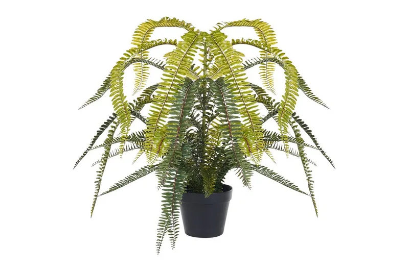 Konstgjord växt Beliani Fern Leaf Plant Green||Black, undefined