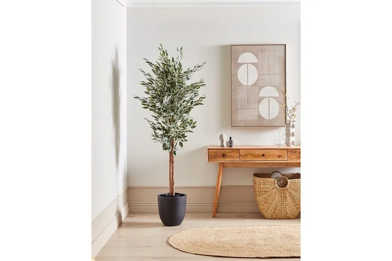 Konstgjord växt Beliani Ficus Green||Black - Boligtilbehør - Kunstige planter
