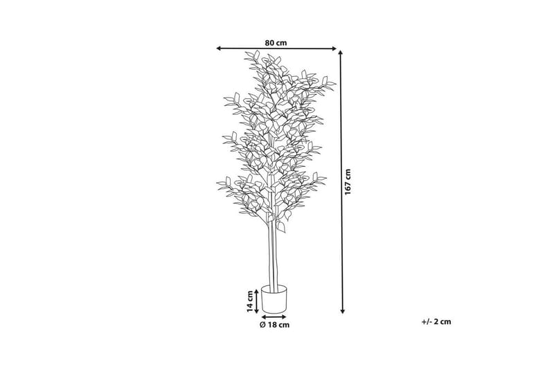 Konstgjord växt Beliani Ficus Green||Black - Boligtilbehør - Kunstige planter