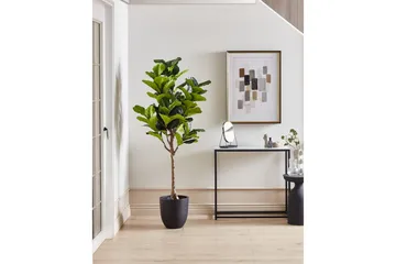 Konstgjord växt Beliani Fig Tree Green||Black - Boligtilbehør - Kunstige planter