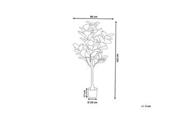 Konstgjord växt Beliani Fig Tree Green||Black - Boligtilbehør - Kunstige planter