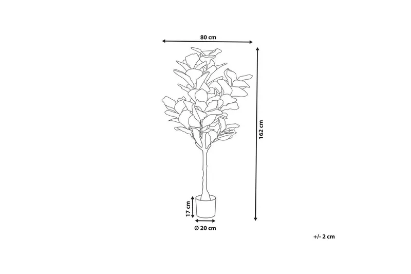 Konstgjord växt Beliani Fig Tree Green||Black - Boligtilbehør - Kunstige planter