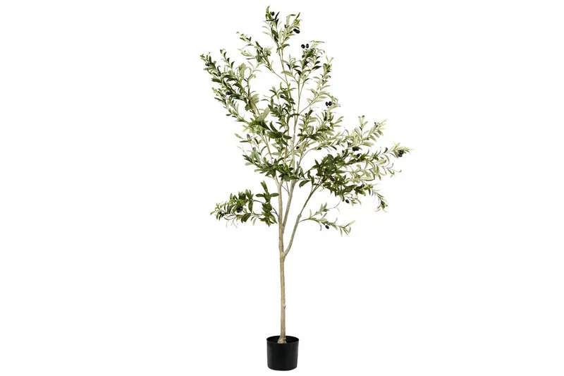 Konstgjord växt Beliani Olive Tree 75x75x178 cm Green||Black, undefined