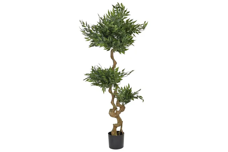 Konstgjord växt Beliani Ruscus Tree Green||Black, undefined