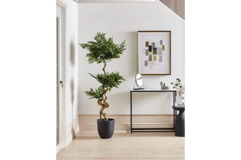 Konstgjord växt Beliani Ruscus Tree Green||Black - Boligtilbehør - Kunstige planter