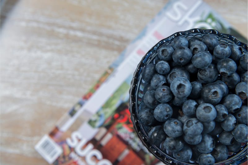 Hillerstorp Leicester Bord Ø50 Cm - Havemøbler - Balkon - Balkonmøbler - Altanborde