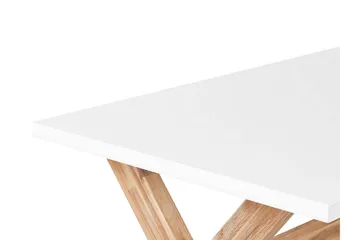 Havebord 200 x 100 cm hvid OLBIA - Hvid - Havemøbler - Havebord - Spisebord & havebord