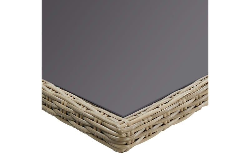 Havebord 200X100X74 cm Glas Og Polyrattan Brun - Brun - Spisebord & havebord