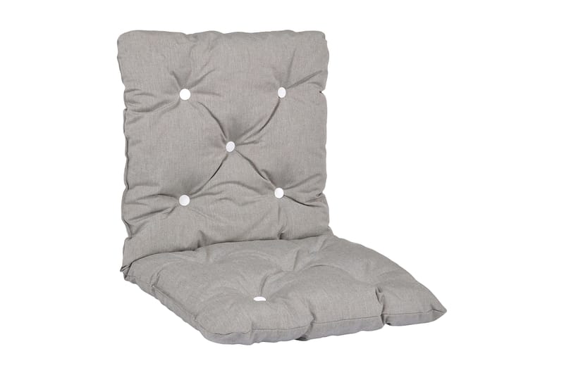 Askegrå Minivik -flok, Grå