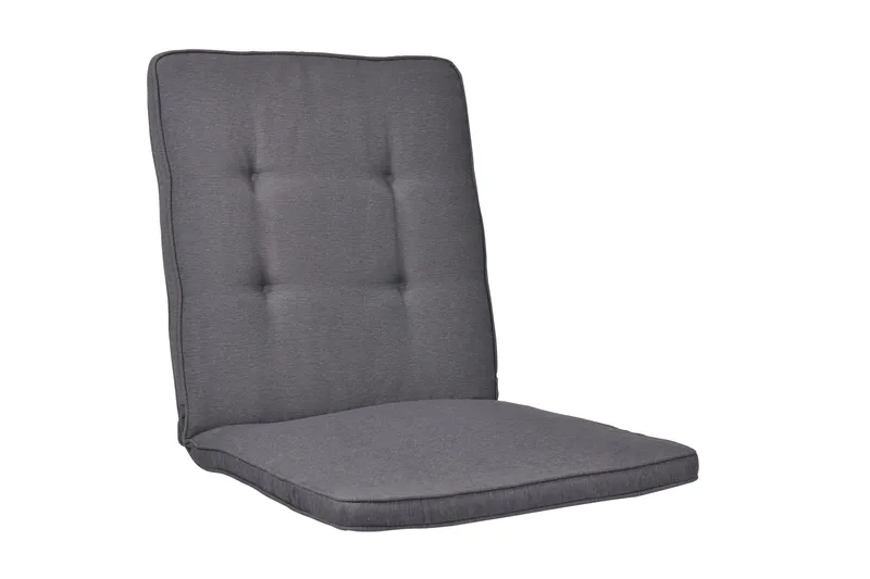 Basis Universaldyne Grå, Fritab