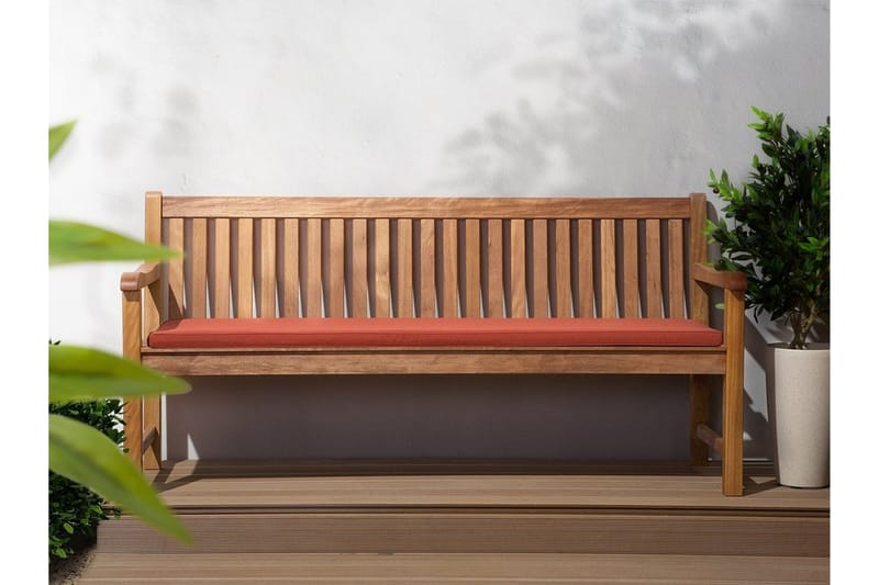 Java hynder 50 cm, Rød