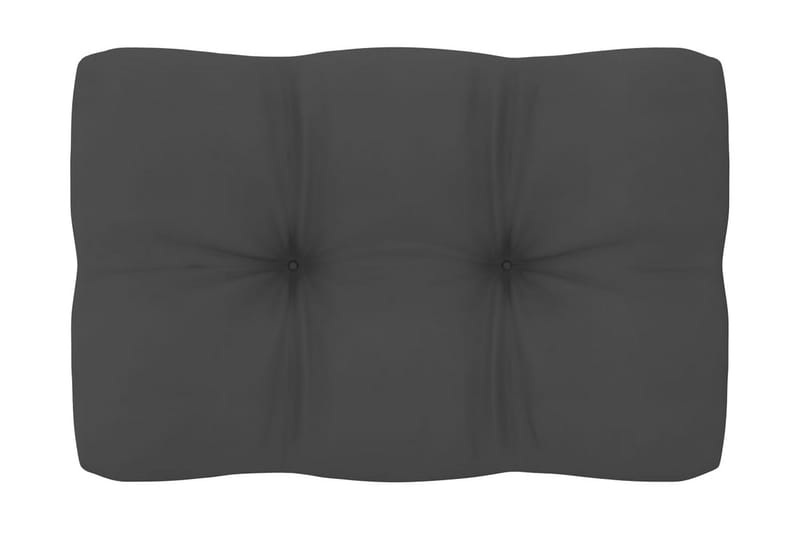 Hynder Til Pallesofa 2 Stk. Antracitgrå - Antracit - Havemøbler - Hynder - Hynder til bænk & havesofa