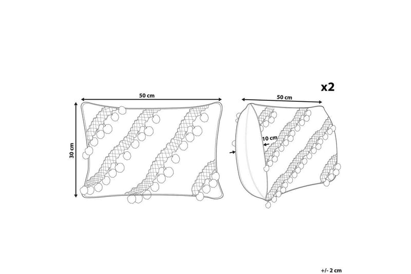 Pyntepuder Ayroor sæt af 2 - Tekstiler - Pude & plaid - Pyntepuder & pudebetræk