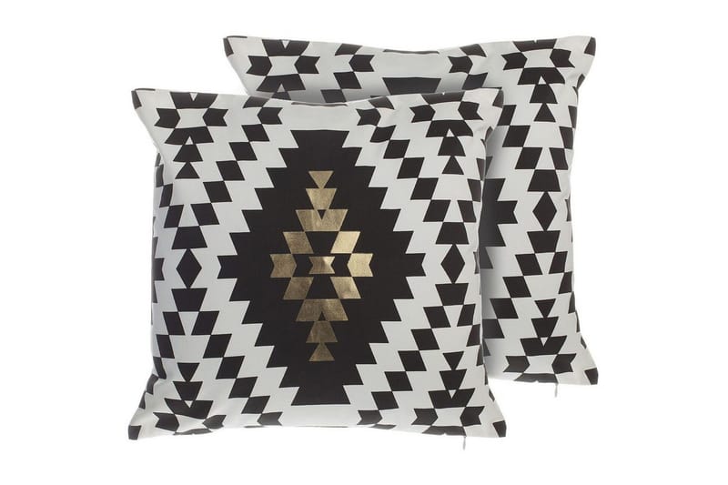 Pyntepuder Coleus sæt af 2, undefined