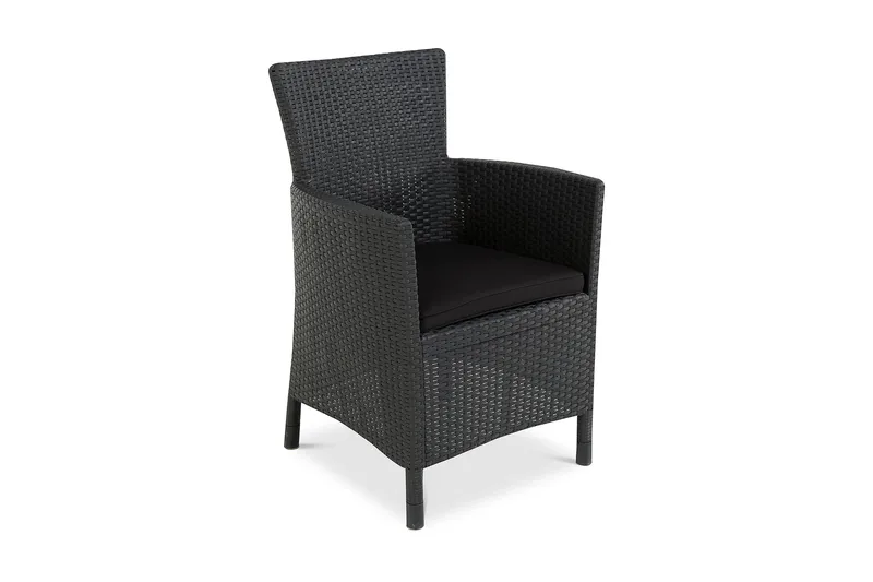 Lady Sædehynde, Sort