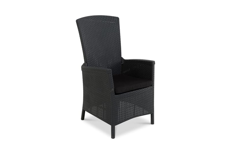 Vermont Siddehynde, Sort