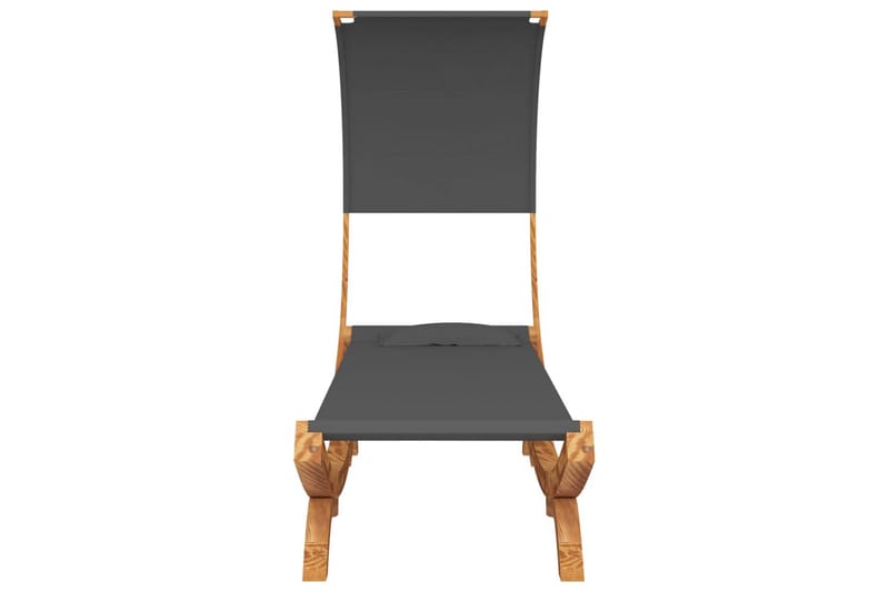 hængekøje m. baldakin 100x216x162 cm massivt grantræ grå - Antracit - Havemøbler - Havesofaer & bænke - Hængekøjer