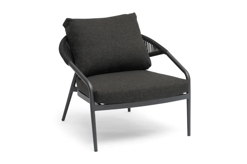 Lænestol Hillerstorp Ekeryd 2-Pack Antracitgrå, undefined